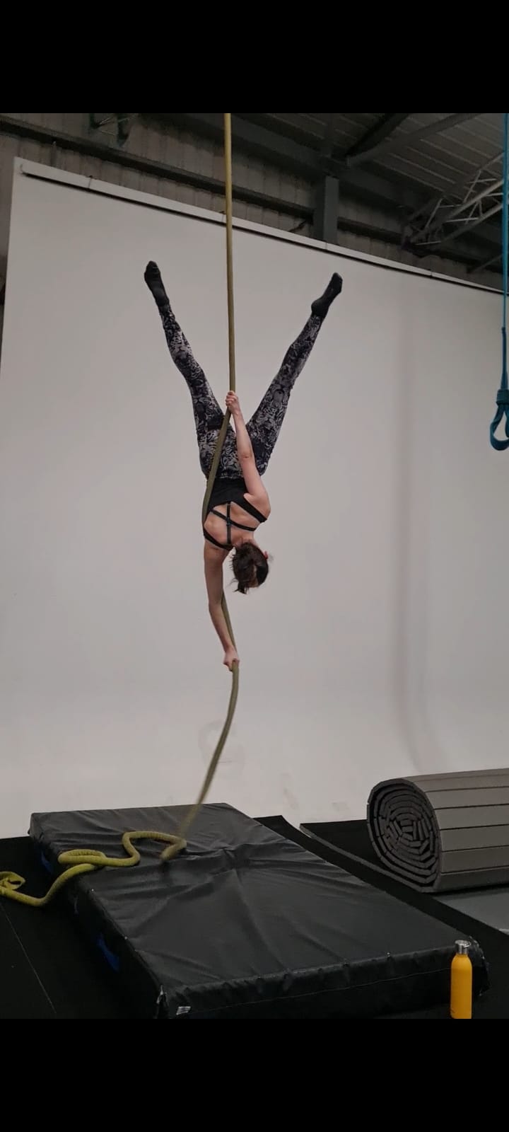 Diane L. on aerial rope